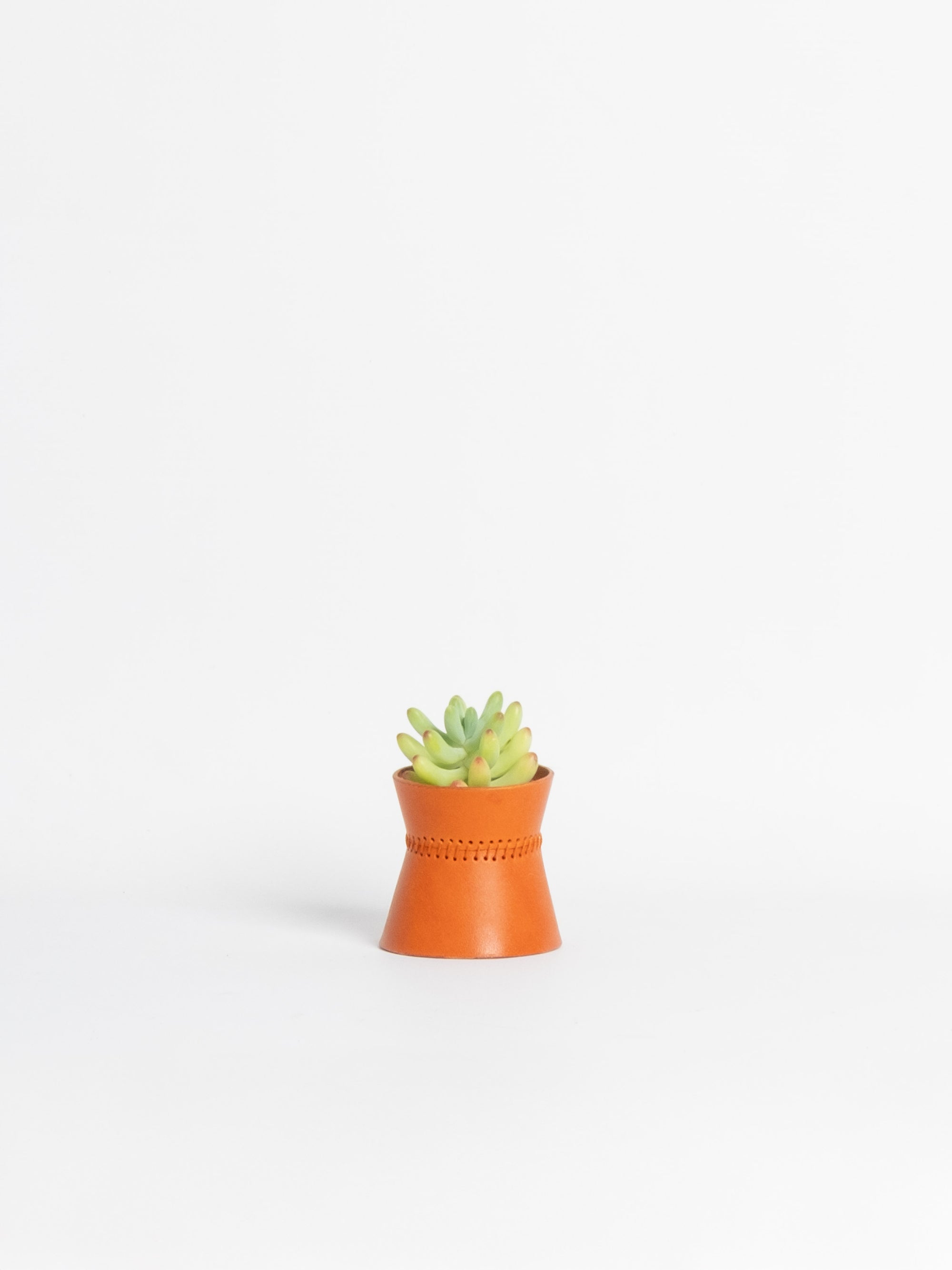 Abundantia Planter - Mini