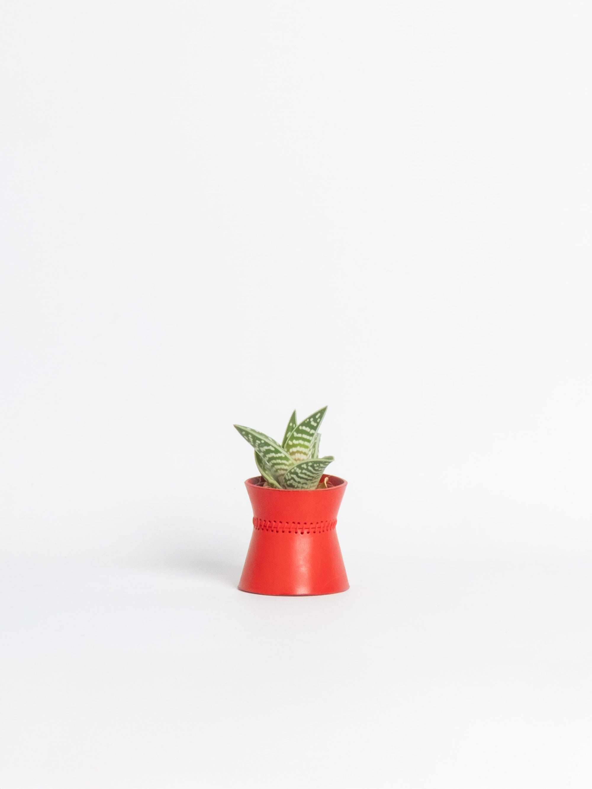 Abundantia Planter - Mini