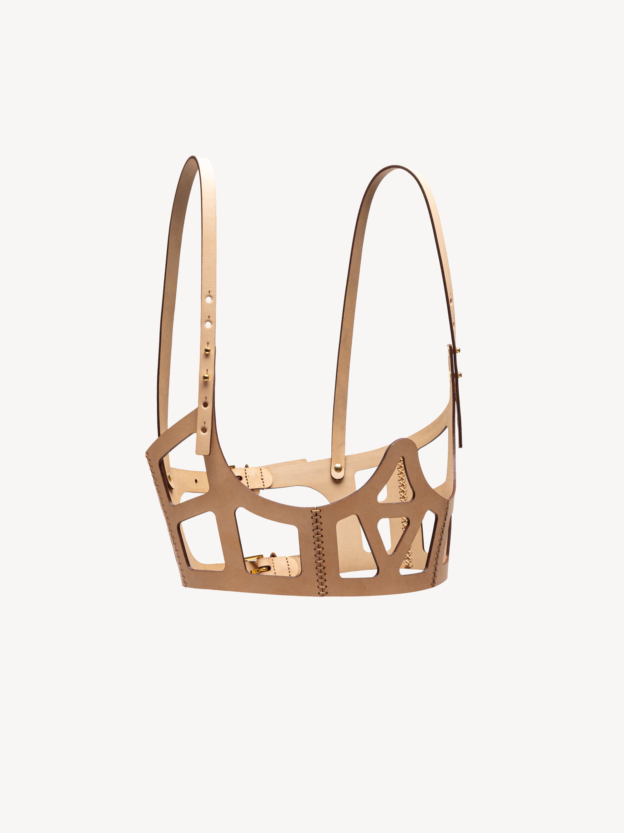 Cut Out Classic Corset