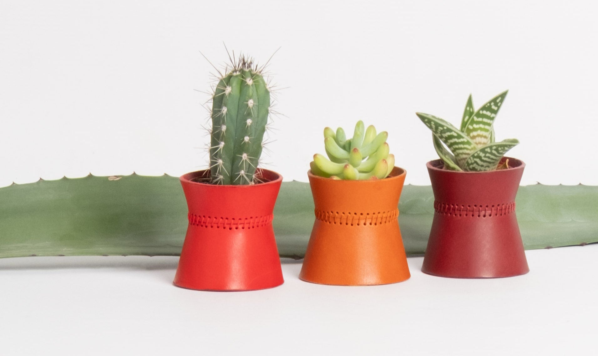 Abundantia Planter - Mini
