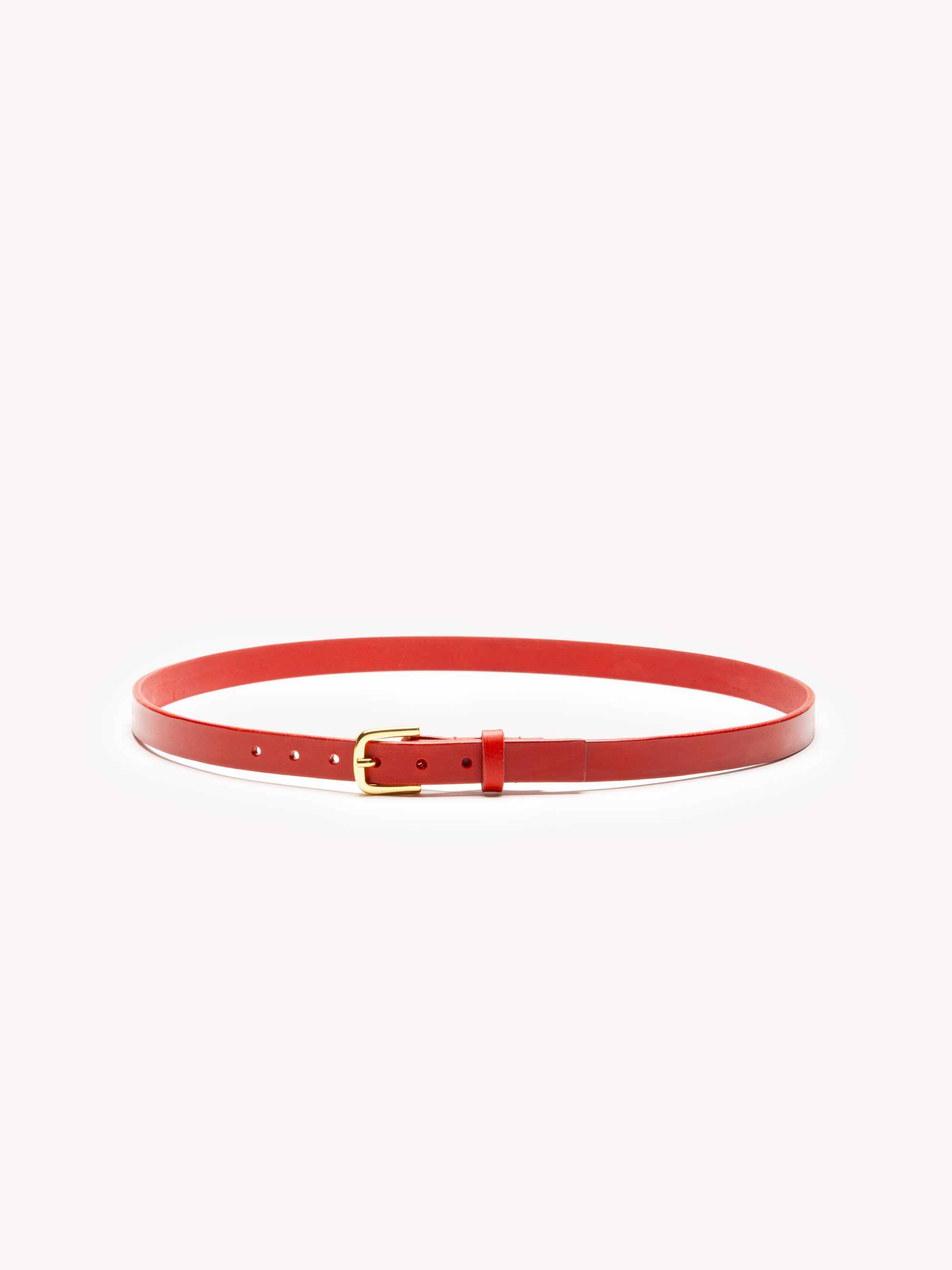 Basic Instinct Belt - Red Velvet