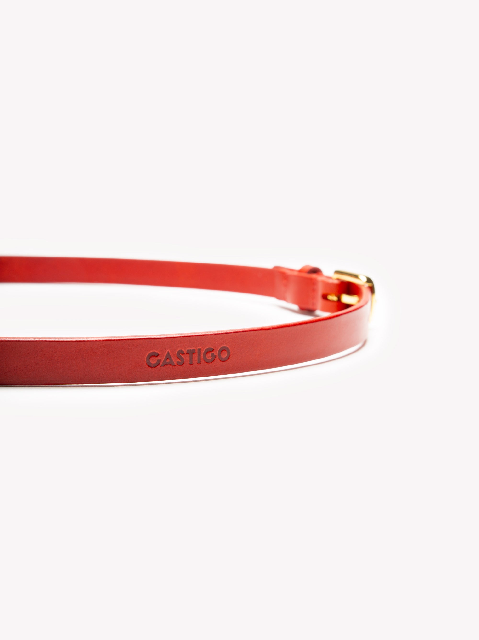 Basic Instinct Belt - Red Velvet