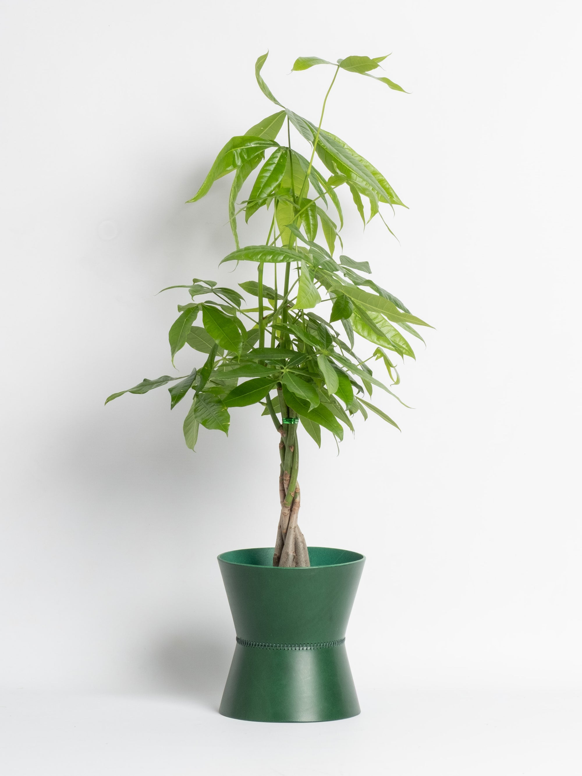 Abundantia Vase - Medium