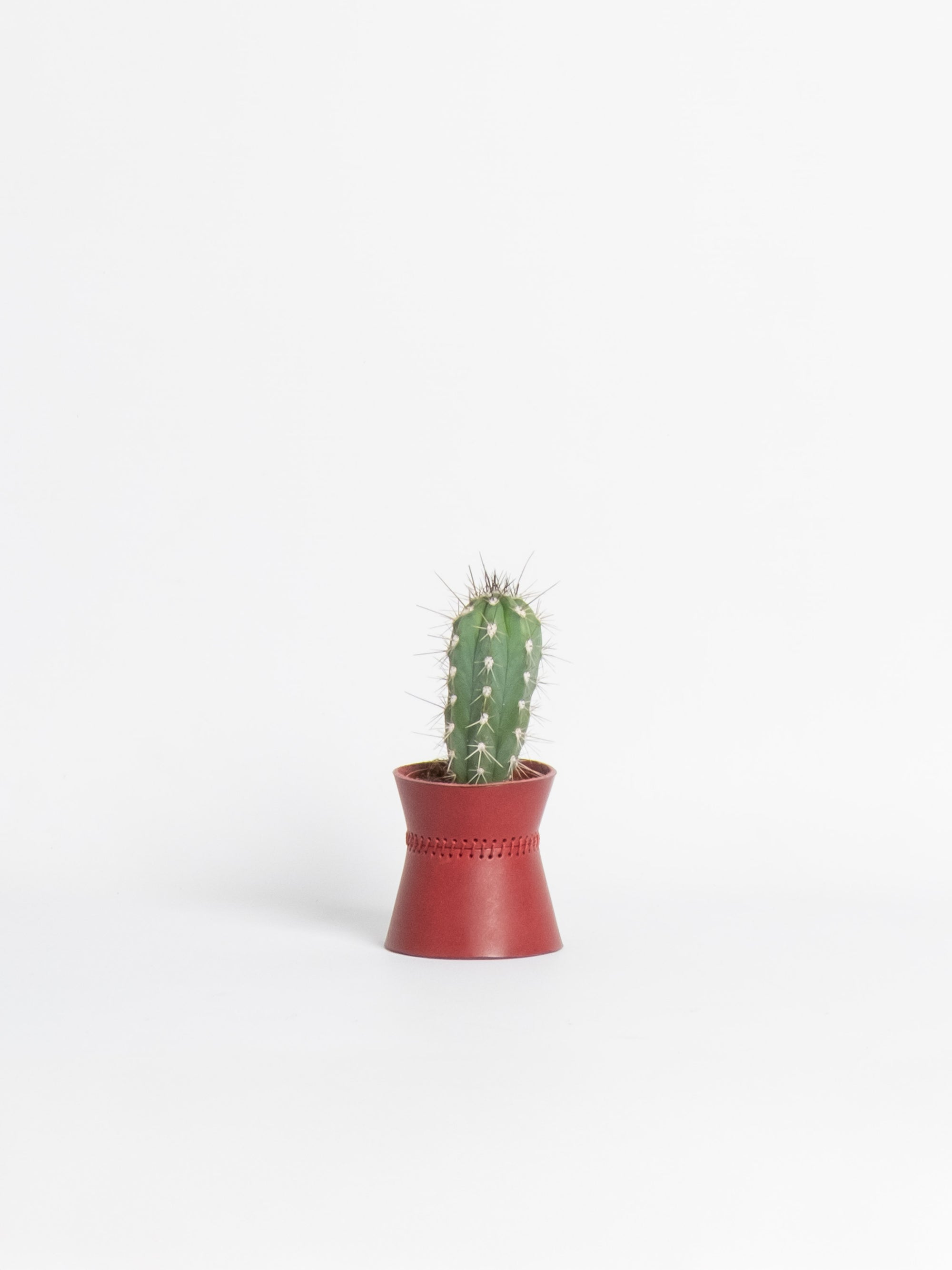 Abundantia - Triplet