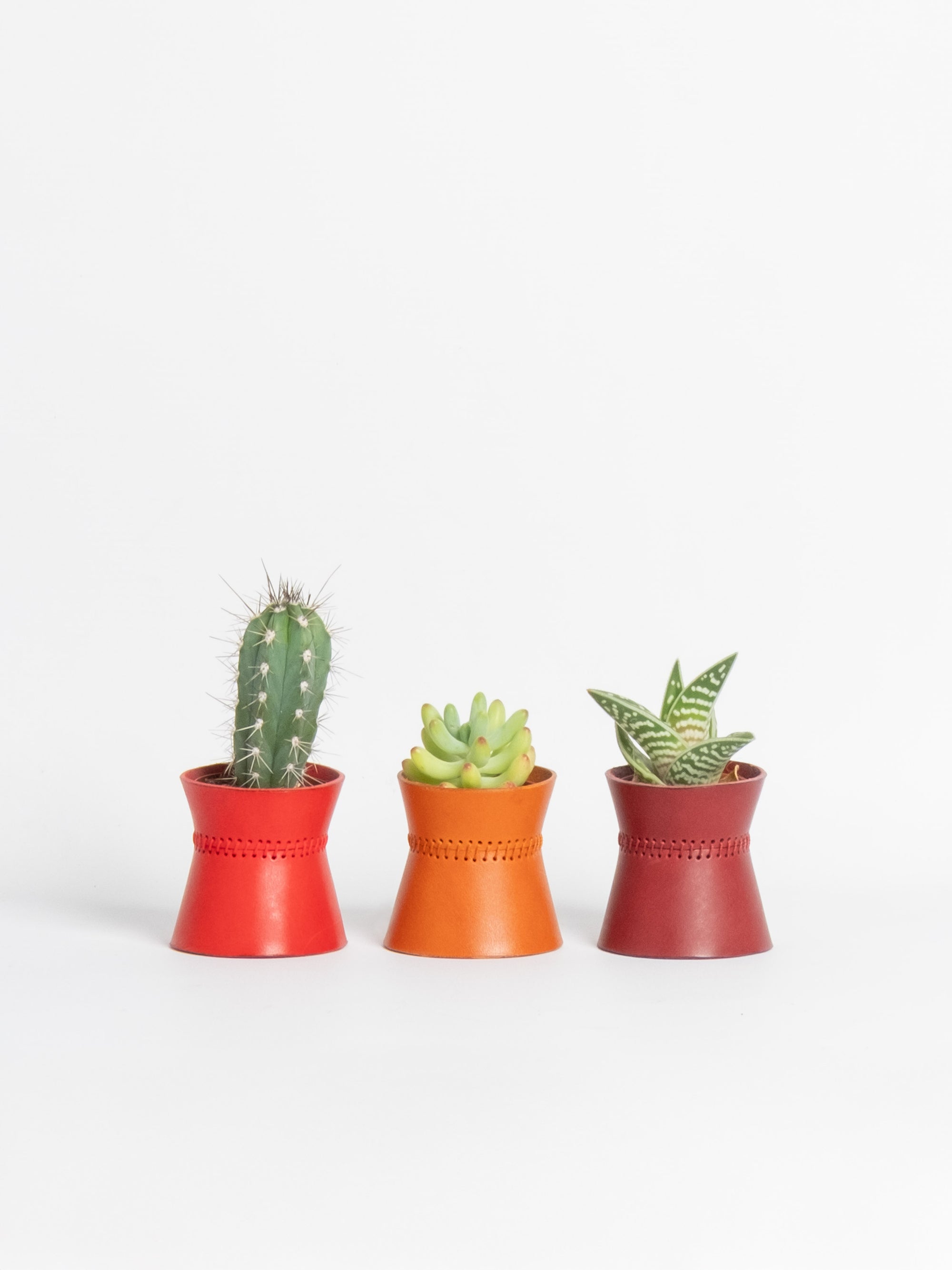 Abundantia - Triplet