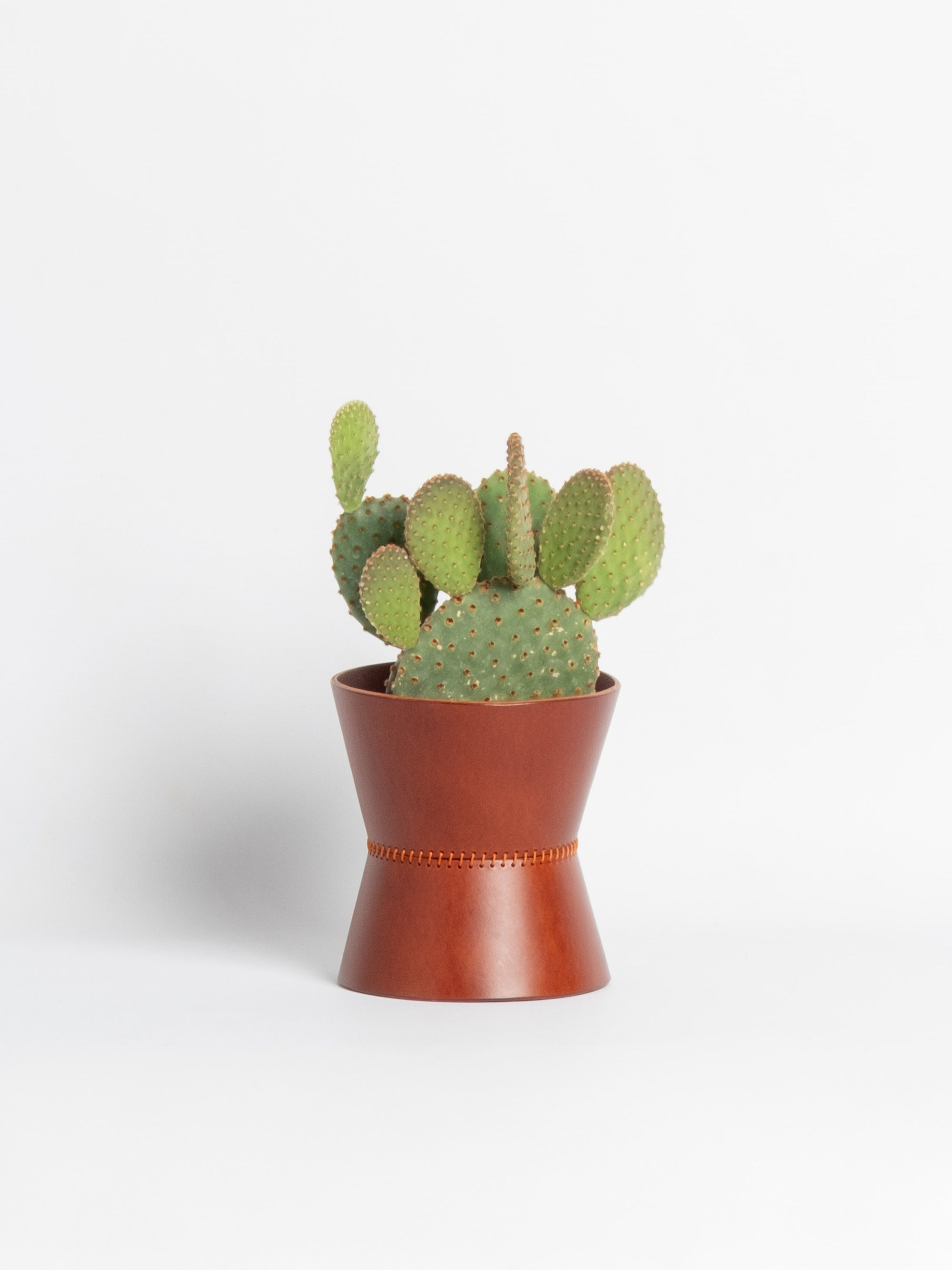 Abundantia Vase - Short